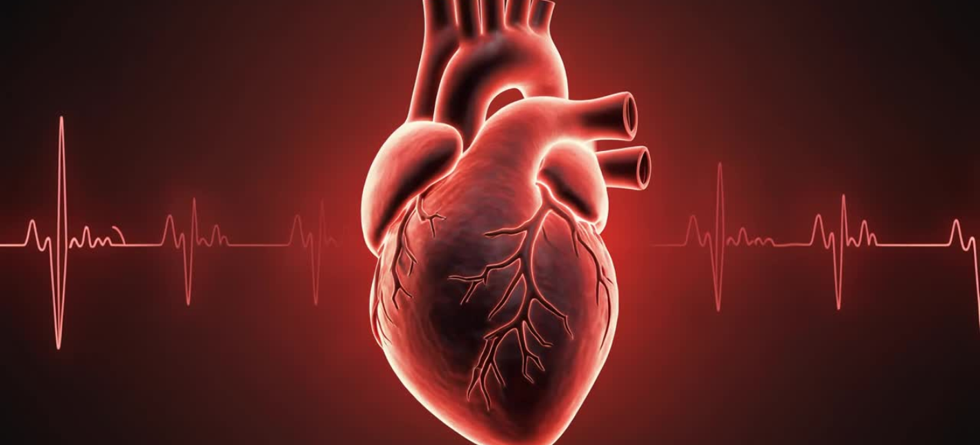 «Здоровое сердце»: консультация кардиолога и ЭКГ бесплатно 