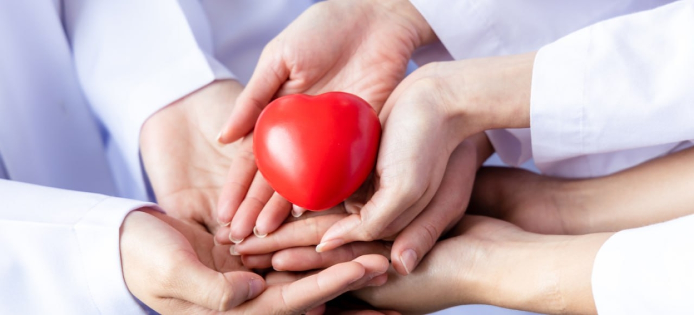 Комплекс «Здоровое сердце»: консультация кардиолога и ЭКГ бесплатно 