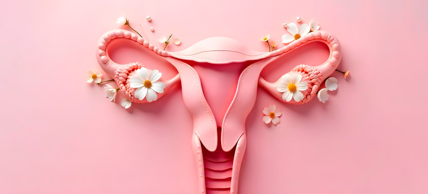 Специальное предложение: 50% скидка на консультацию гинеколога в комплексе «Женское здоровье»