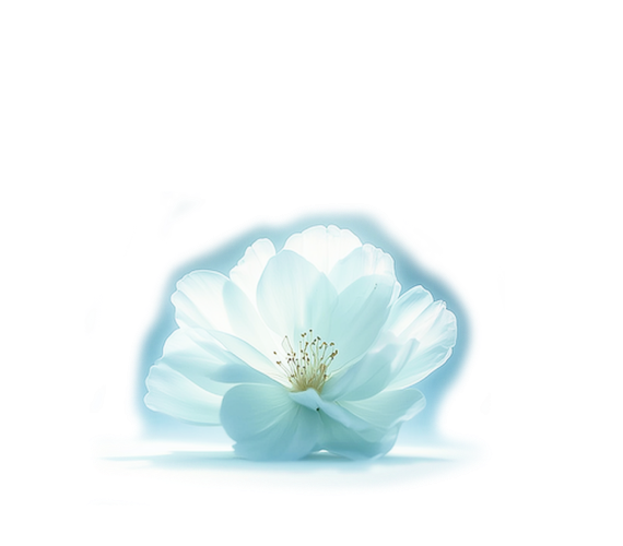 СКИДКА 50% НА КОНСУЛЬТАЦИЮ ГИНЕКОЛОГА