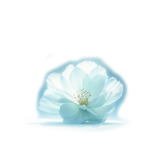 СКИДКА 50% НА КОНСУЛЬТАЦИЮ ГИНЕКОЛОГА